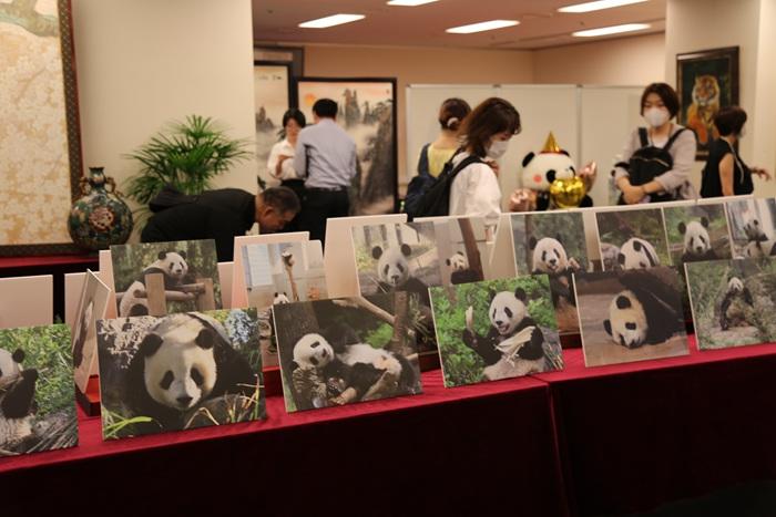 中国大熊猫“香香”生日会在东京举办
