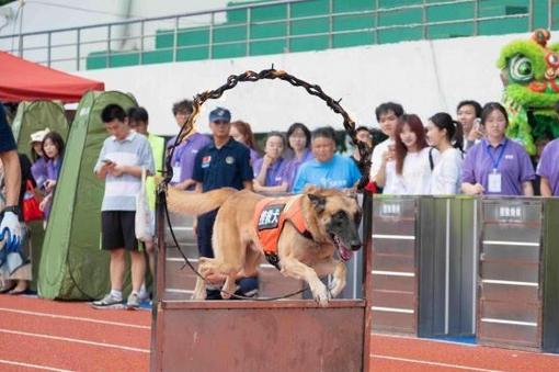 千余只宠物汇聚广州 超5万名游客乐享萌宠嘉年华