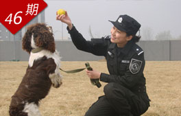 安全卫士 训犬警花