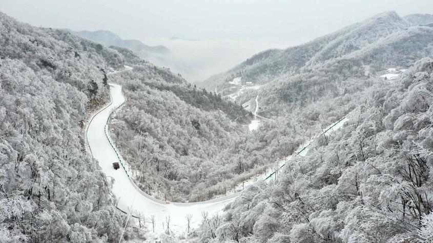 湖北保康现森林雾凇景观 如水墨画卷